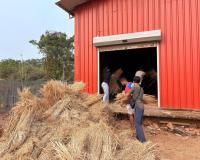 documents/gallery/Kara_Seva_Shivir_-_SCM_Shirali_-_2025_-_Day_6_02_Jan_2026/KSS2025D6 (02JAN2025) (1).jpg